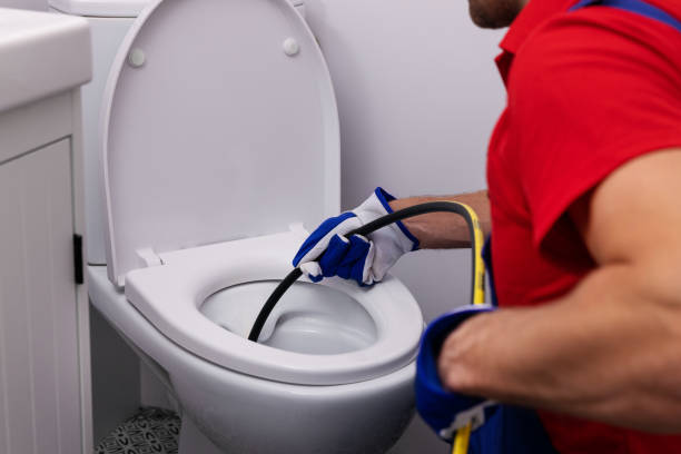 Best Local Plumber Services  in Danvle, IL