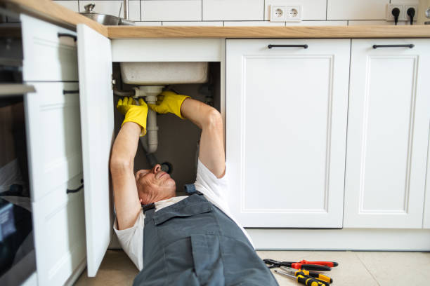 Best Residential Plumbing Services  in Danvle, IL