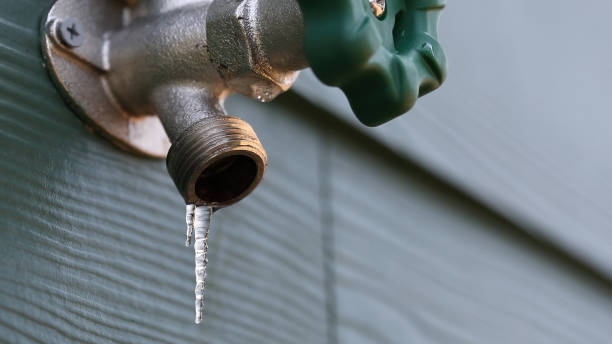 Best Sprinkler Systems  in Danvle, IL