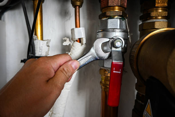 Best 24-Hour Plumber Near Me  in Danvle, IL